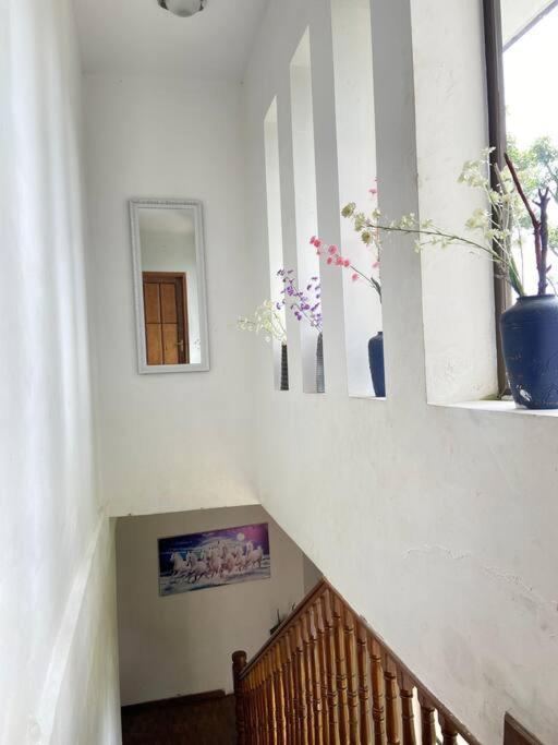 Ghost Villa Pokhara With Mountain View 20Mins From Main Area Ranipauwa Bagian luar foto